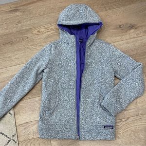Patagonia Vintage Lined Hooded Better Sweater